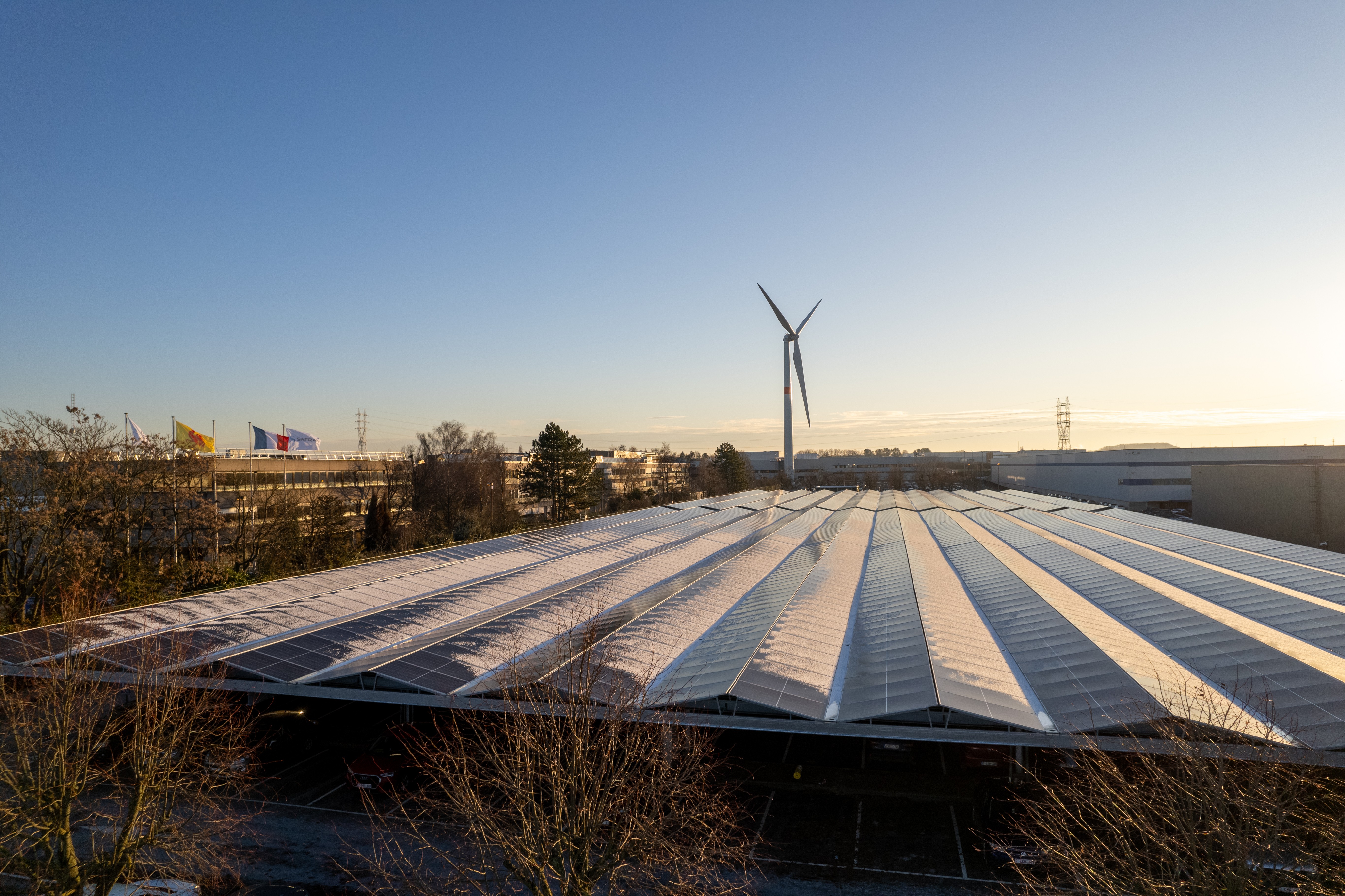 Sonnenschatten safran aero boosters_(c) philippe doutrewe (14)